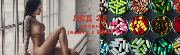 спиды Майский