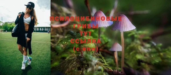 MDMA Premium VHQ Магадан