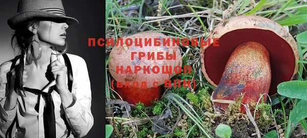 спиды Майский