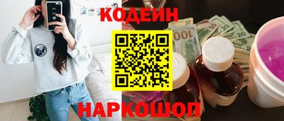 гашик Кингисепп