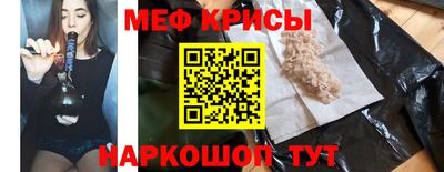 гашик Кингисепп