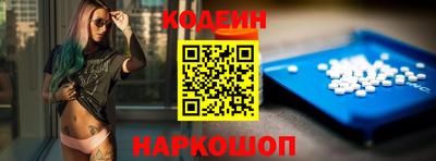 гашик Кингисепп