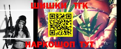 гашик Кингисепп