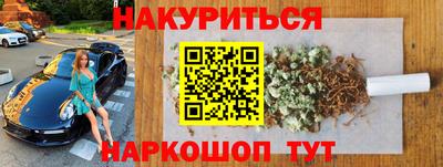 гашик Кингисепп