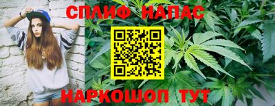 эйфоретик Кимры