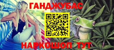 гашик Кингисепп