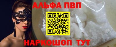 гашик Кингисепп
