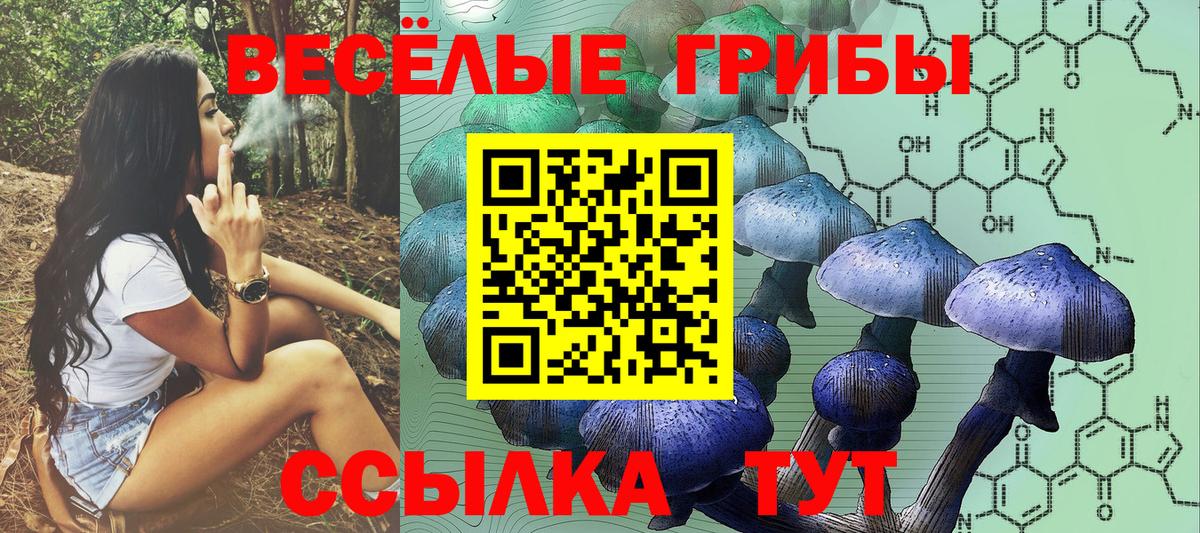 Псилоцибиновые грибы Psilocybine cubensis  Галлюциногенные грибы мицелий  Вход с VPN  Чусовой 
