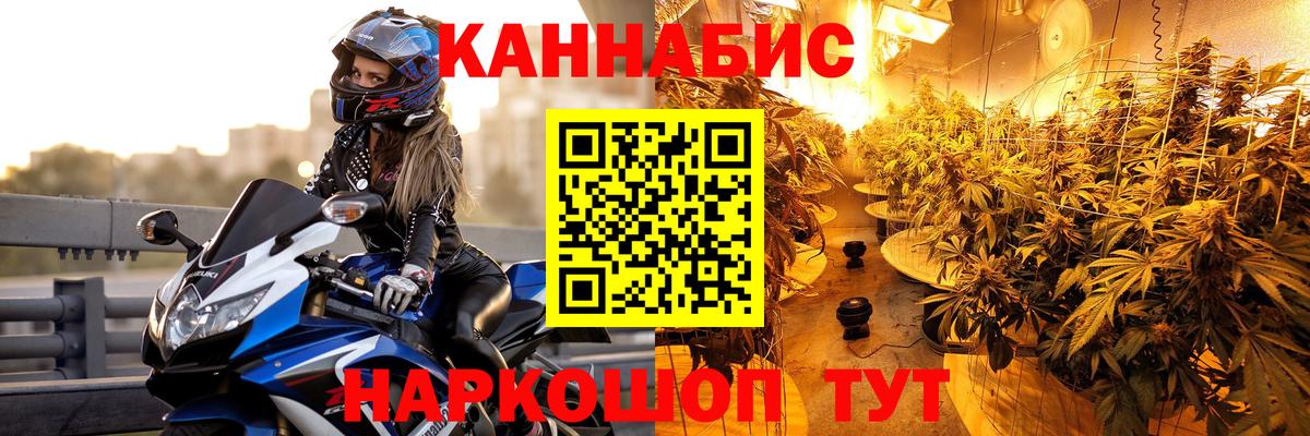 Бошки Шишки конопля  Бошки Шишки конопля  Чусовой  Каннабис планчик  Конопля конопля 